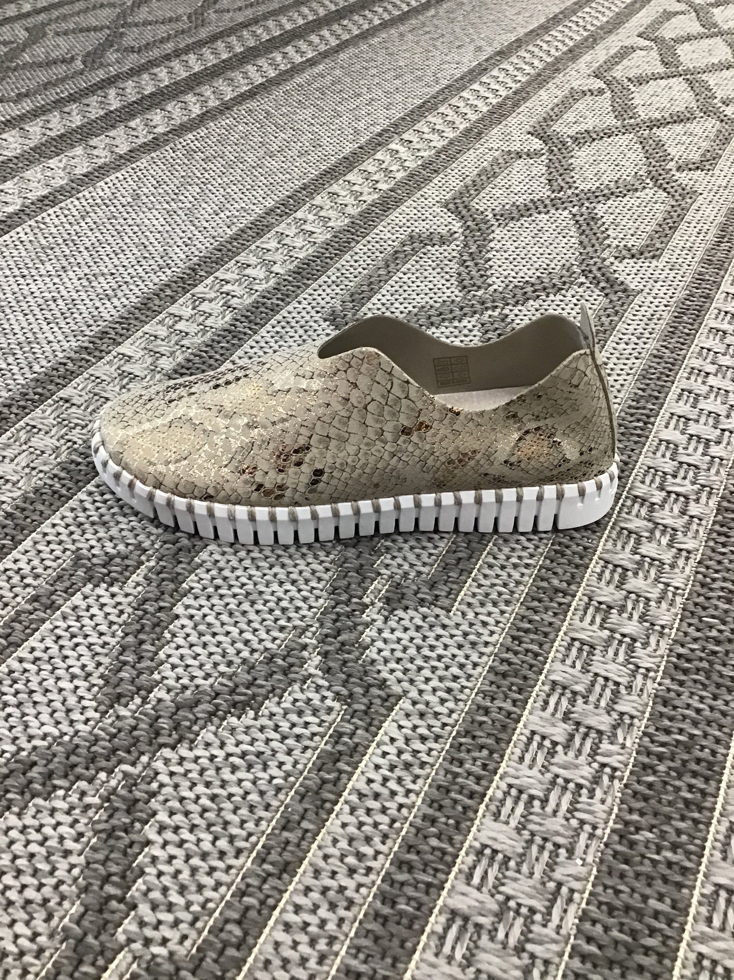 Tulip Flat