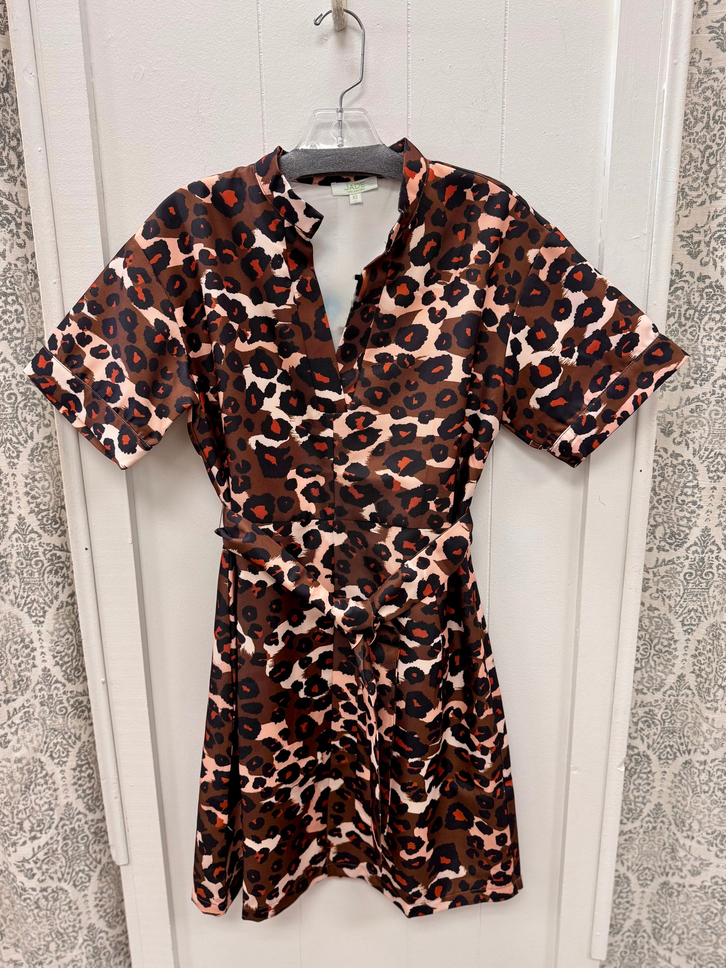 Spiced Leopard Placket Dress