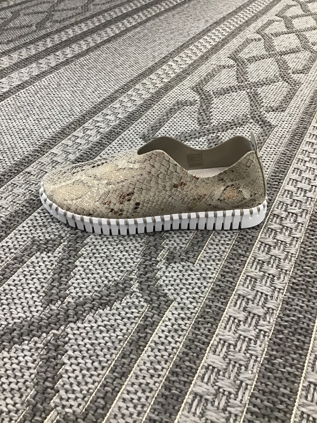Tulip Flat