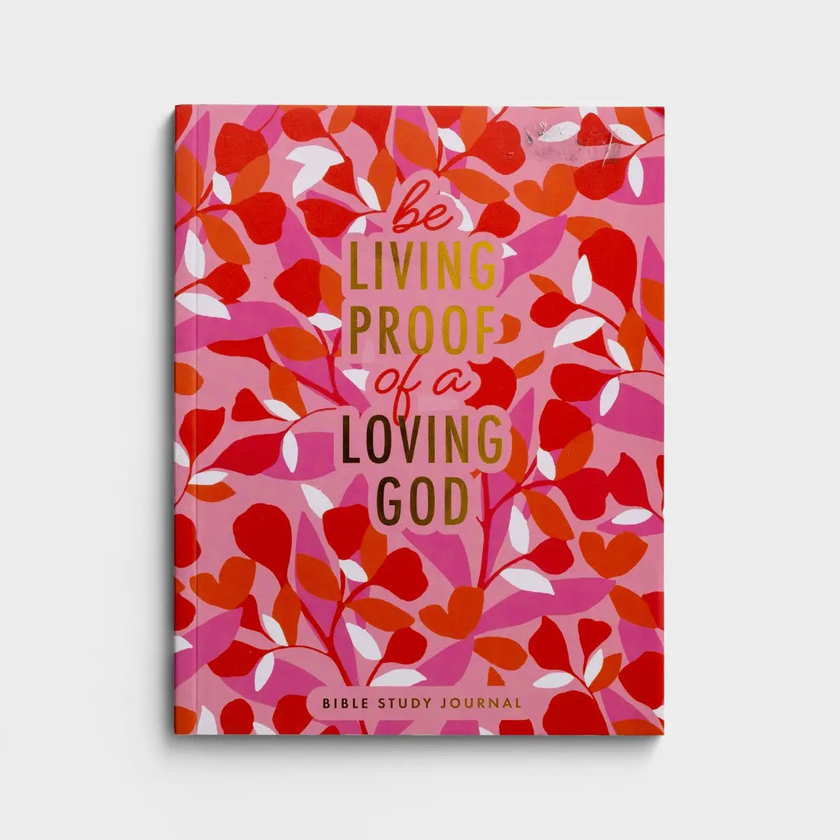 Be Living Proof Bible Study Journal