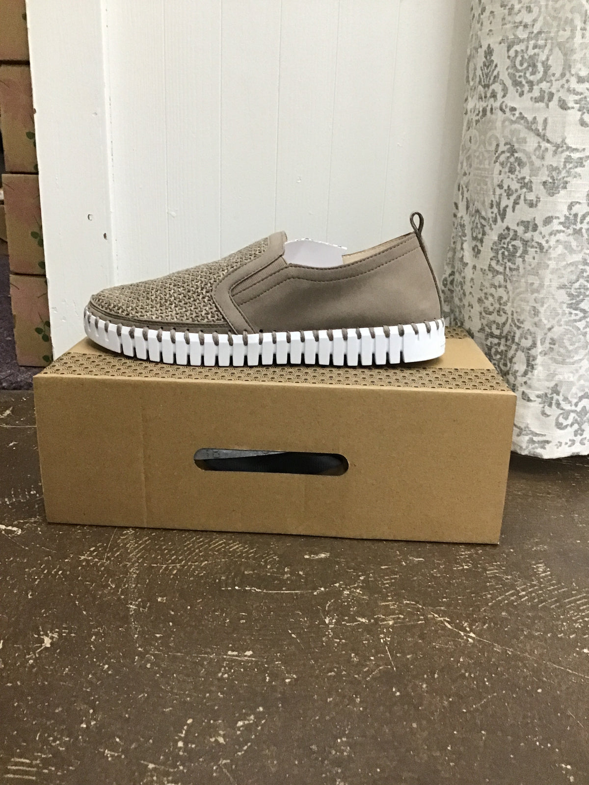 Tulip Falcon Shoes