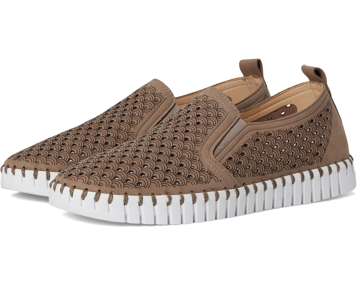 Tulip Flat