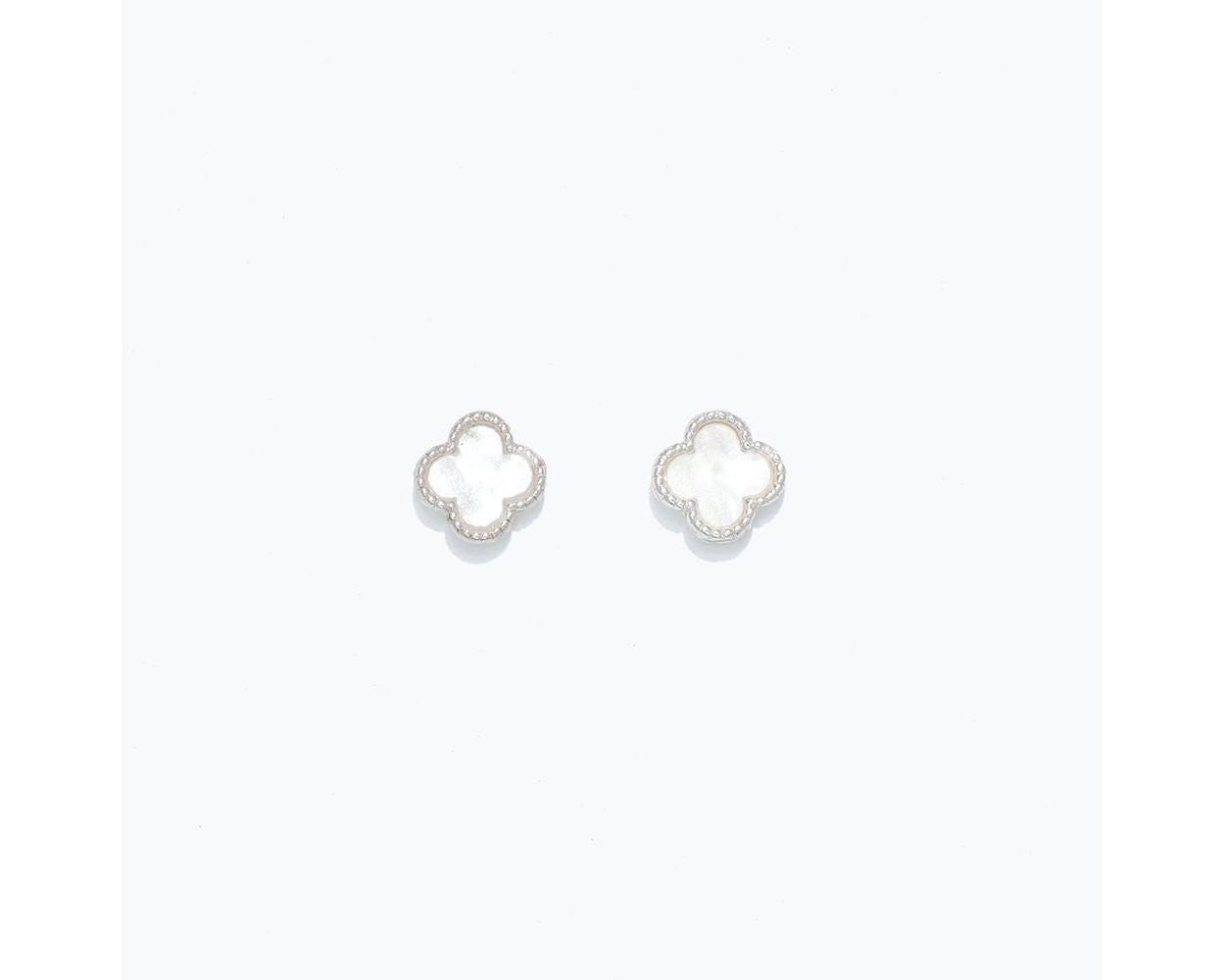 White Clover In Silver