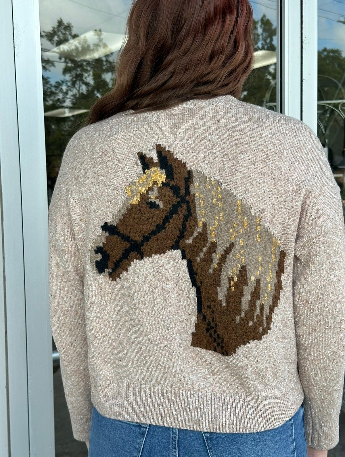 Horse and Horseshoe Sweater