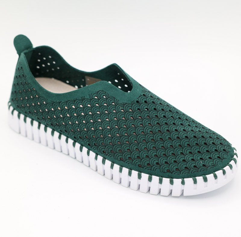 Tulip Flat