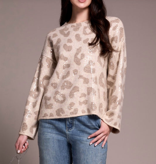 Sequin Crew Neck Sweater