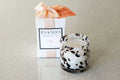 B'S Knees 2-Wick Candles